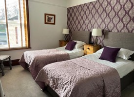 Darcyroom2